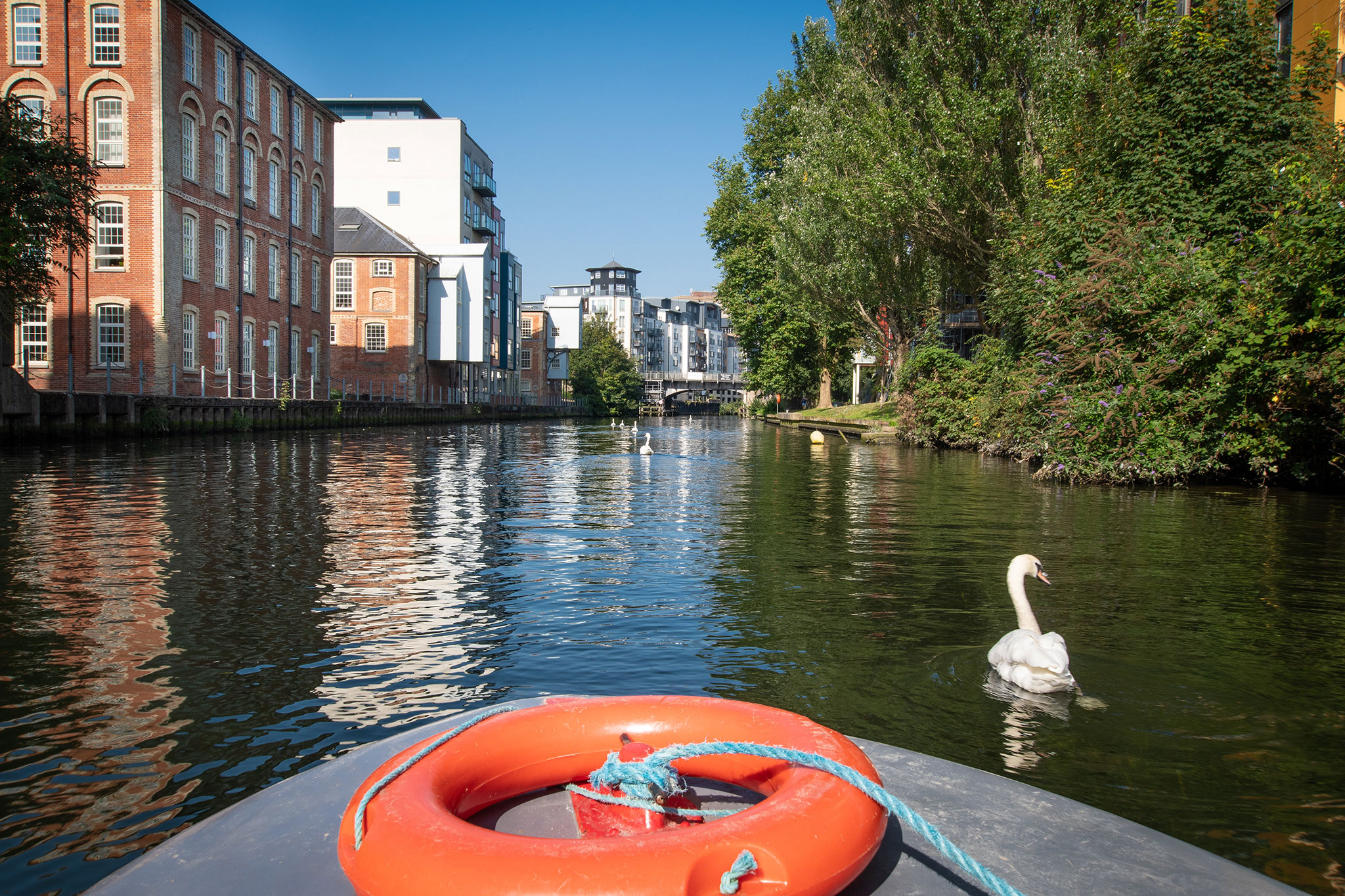 Norwich